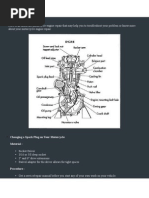 Motorcycle Engine Maintainance