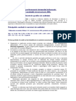 Exemplu Raport de Audit