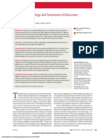 Glaucoma Fisiopatologia Review 14