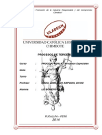 Proceso de Terceria