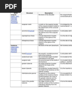 N420 N421 TG2-03A TG2-03B Practical1 Practical2: Osteology