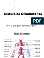 Distúrbios Circulatórios