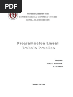 Programacion Lineal