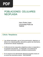 Neoplasia