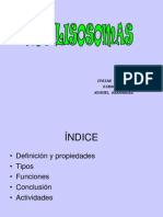 4 Lisosomas