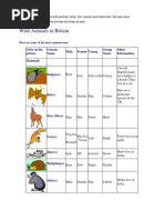 Wild Animals in Britain: Click On The Picture. Generic Name Male Female Young Group Name Other Information Mammals