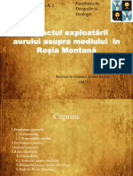 Impactul Exploatării Aurului Asupra Mediului În Roșia Montană