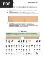 3 Los Cromosomas