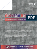 Álgebra Básica, Soluciones Con El Paquete Mathematica (2001)