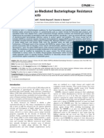 Lactococcus Lactis: Mobile CRISPR/Cas-Mediated Bacteriophage Resistance in