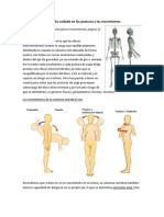 Columna Vertebral. Cuidado y Prevención de Lesiones.