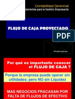 Flujo de Caja Proyectado PWP