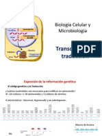 Expresion Genica y Sintesis de Proteinas