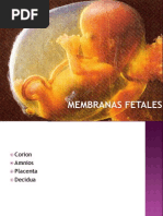 Formacion de Membranas Fetales