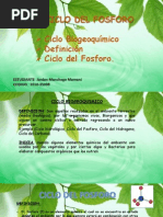 Ciclo Fosforo