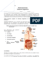 El Sistema Digestivo