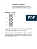 Obtención de ADN