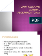 Endokrin Feokromositoma