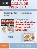 Proceso Tecnologico Del Cuero