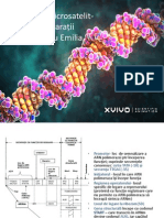 Markerii Microsatelit-Comparații