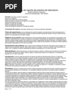 Formato Reporte Practica Laboratorio