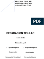 Reparacion Tisular