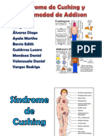 Síndrome de Cushing y Síndrome de Addison