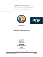 Informe Final Lixiviación Por Agitación de Oro y Plata