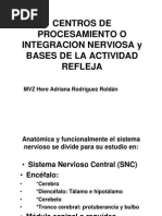 Centros de Procesamiento y Bases de Arco Reflejo Impresión