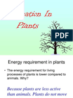 Respiration in Plant