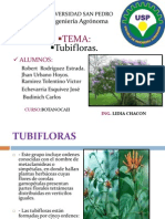 Botanika Tema Tubifloras