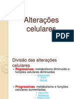 Aula 3 Alterações Celulares B