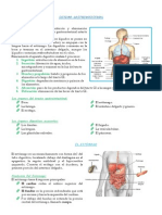 Gastritis y Ulcera Peptica-Duodenal