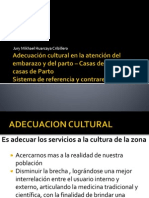 Adecuación Cultural en La Atención Del Embarazo y