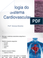 Histologia Do Sistema Cardiovascular