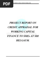 "Credit Appraisal For Working Capital Finance To Small and Medium Enterprises at State Bank of I