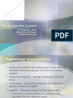 The Endocrine System: B. Pimentel, M.D. University of Makati College of Nursing