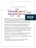 2.4 - Membranes: 2.4.1 - Draw and Label A Diagram To Show The Structure of Membranes