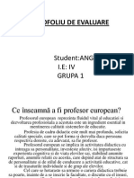 Ce Înseamnă A Fi Profesor European