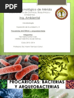 Bacterias y Arqueobacterias