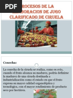 Clarificacion Jugo Ciruela