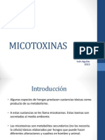 Seminario Micologia