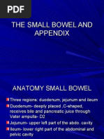 Powerpoint: Lecture 10, The Small Bowel and Appendix