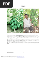 Papaya Cultivation