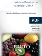 Fruto para Apresentar