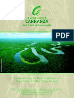 Brochure Consultoria Carranza (Pequeño)