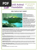 WAF-Sea Turtle Fact Sheet