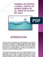 Dbo y Dqo PDF