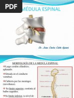 Clase 9 Medula Espinal