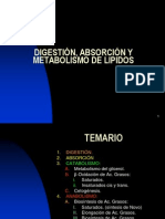 Metabolismo de Lipidos